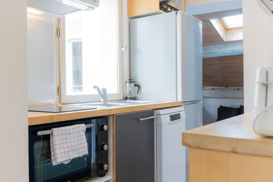 Kitchen or kitchenette, dishwasher, minibar, pet friendly, stove