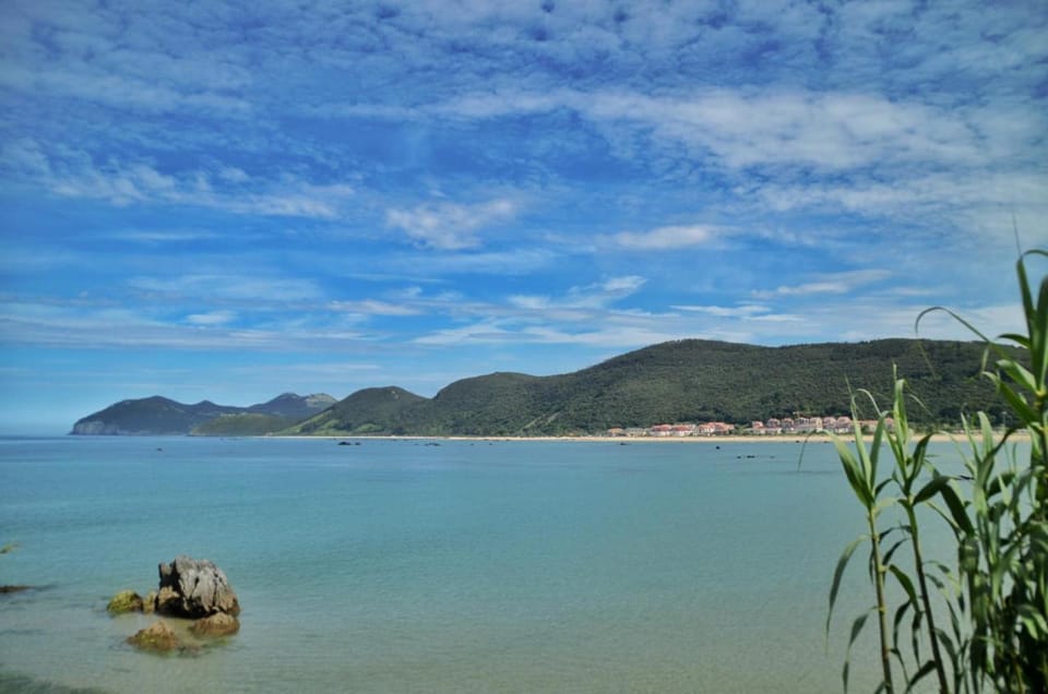 Los Girasoles - 6806 Apartment in Cantabria