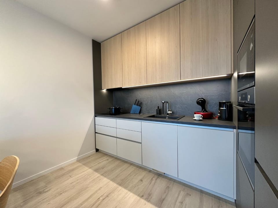 Coffee/tea facilities, Kitchen or kitchenette, dishwasher, minibar, stove