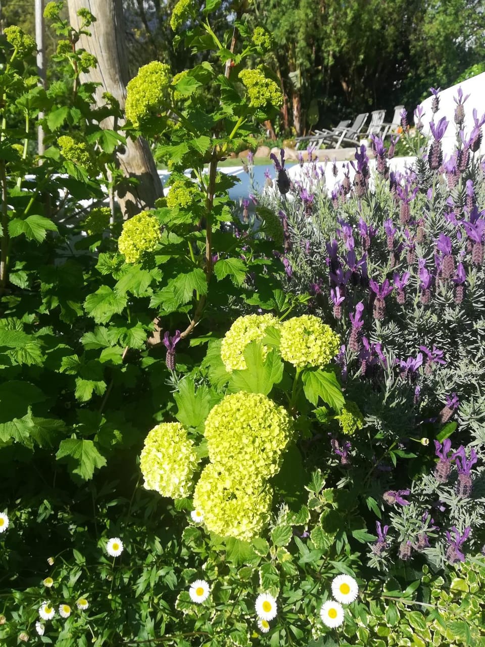 Spring, Garden, Garden view