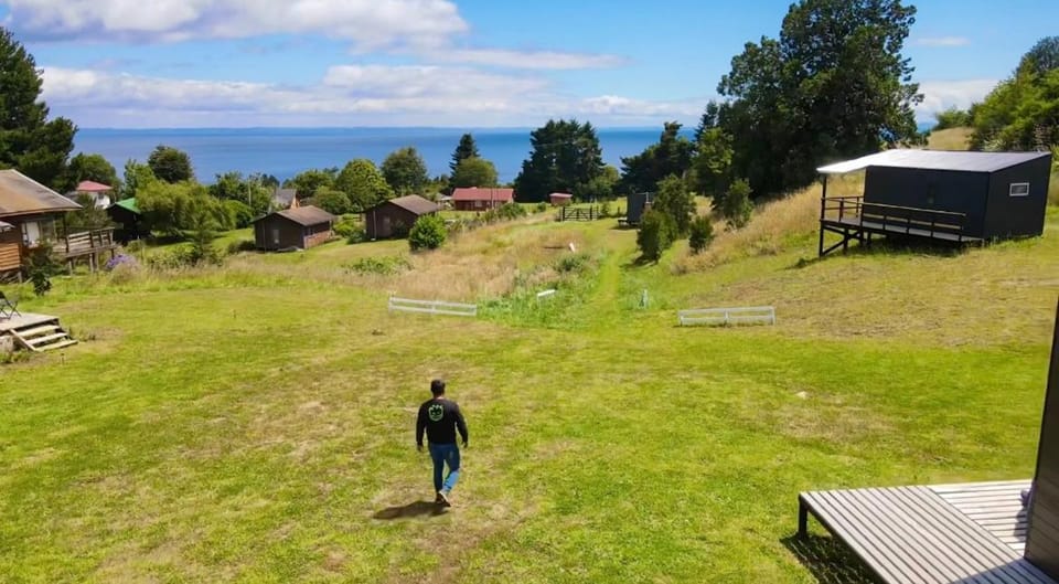 Natural landscape, Garden, Garden view
