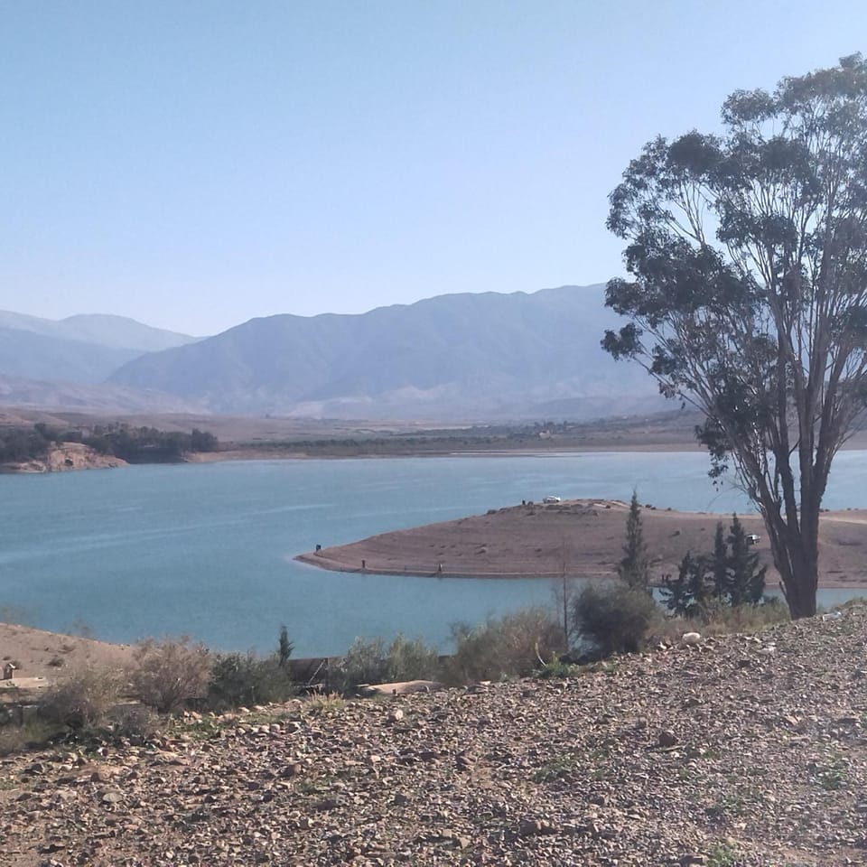 Lake view
