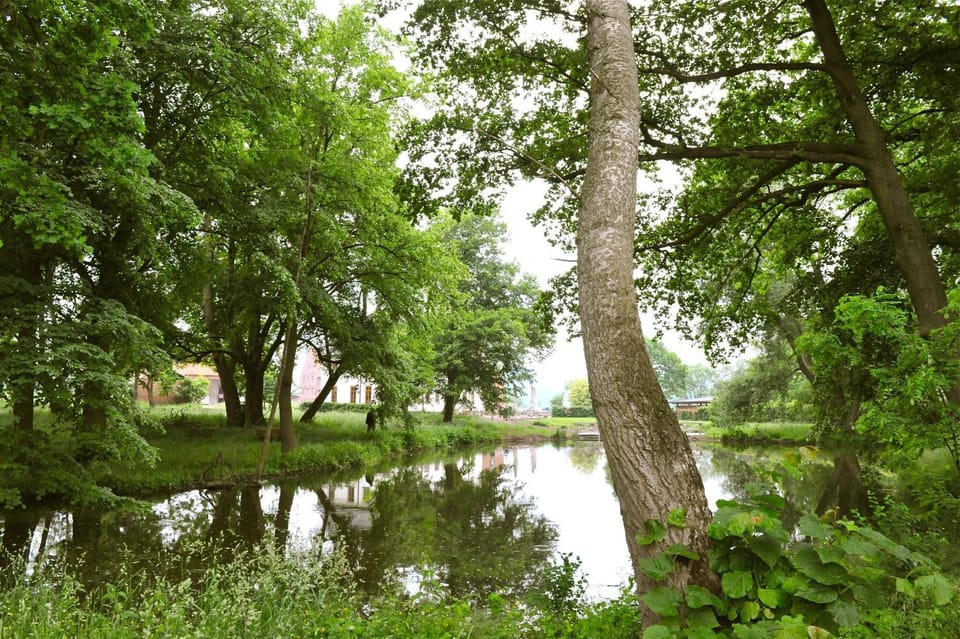 Facade/entrance, Garden