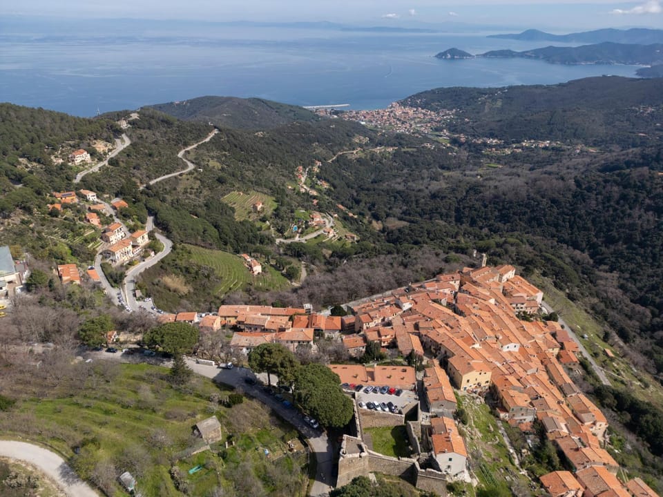 Neighbourhood, Natural landscape