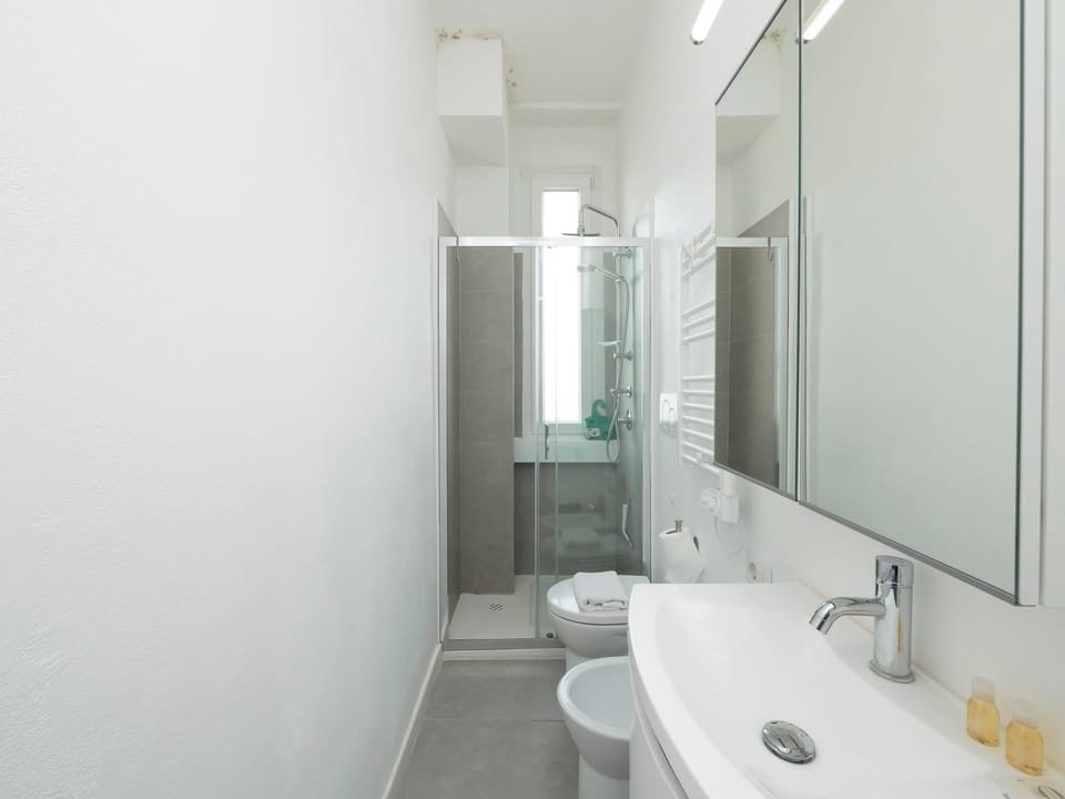 Shower, Toilet, Bathroom, towels