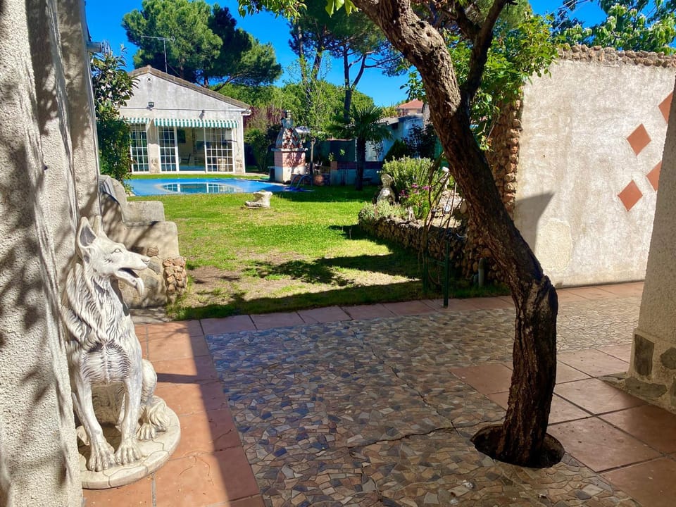 Garden view