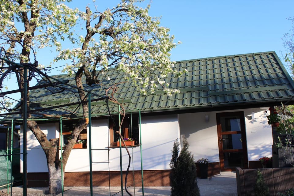 Căsuța artiștilor House in Prahova, Romania