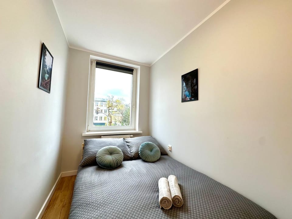 Bed, Photo of the whole room, towels