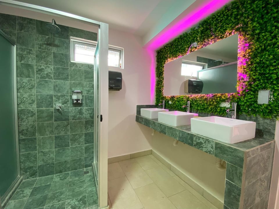 Shower, Bathroom