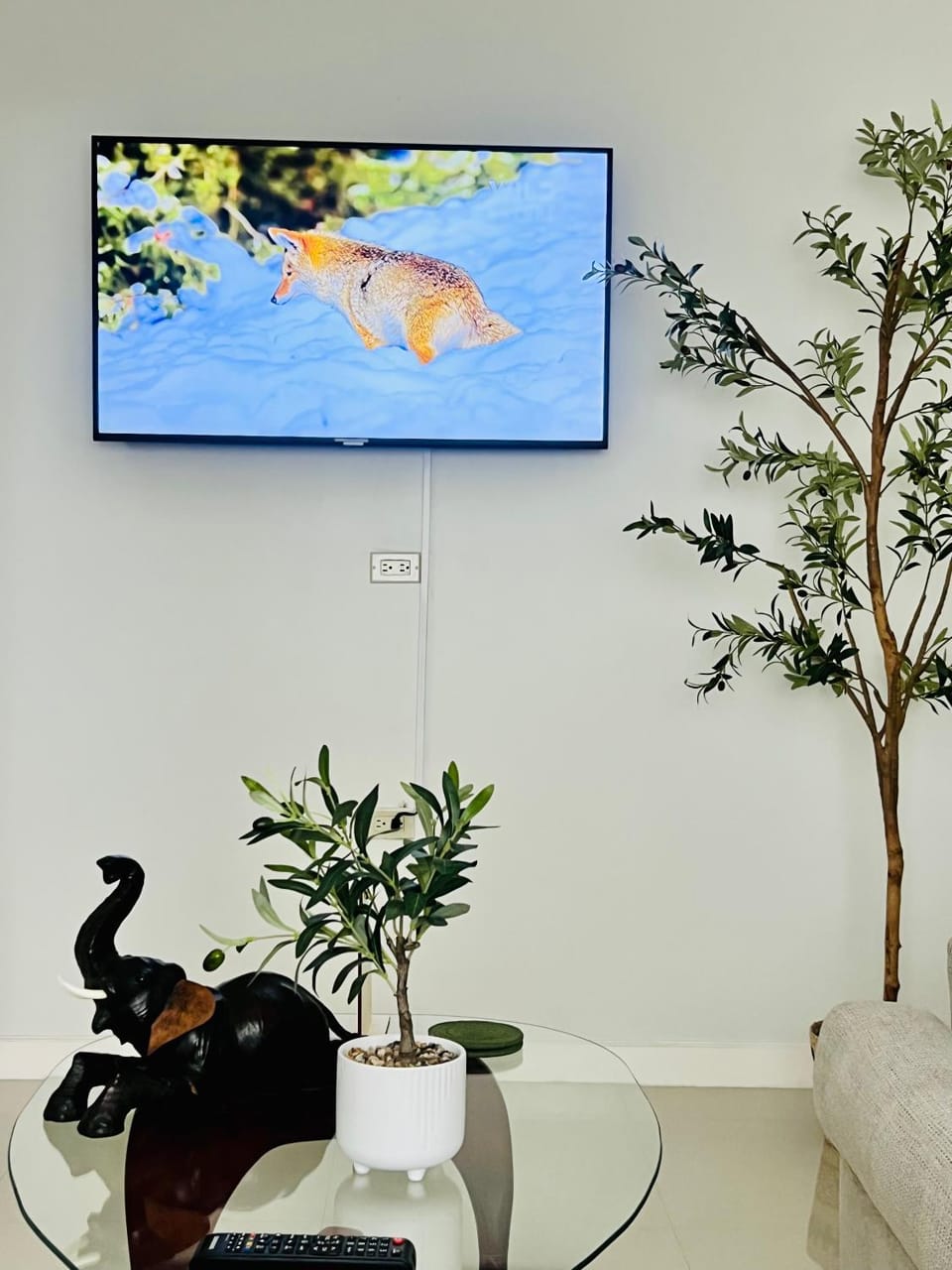 Communal lounge/ TV room