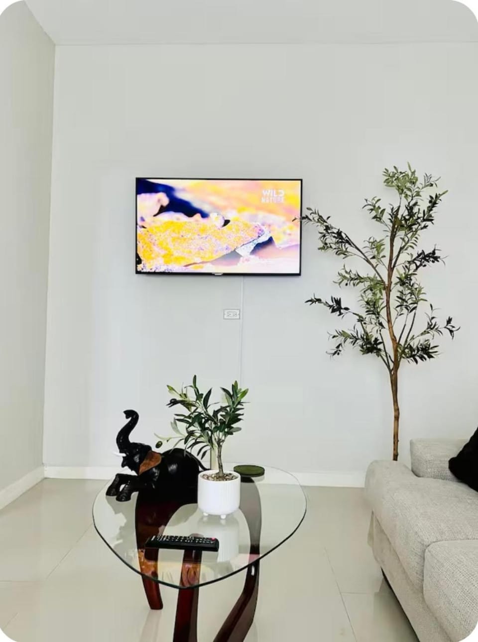 Communal lounge/ TV room