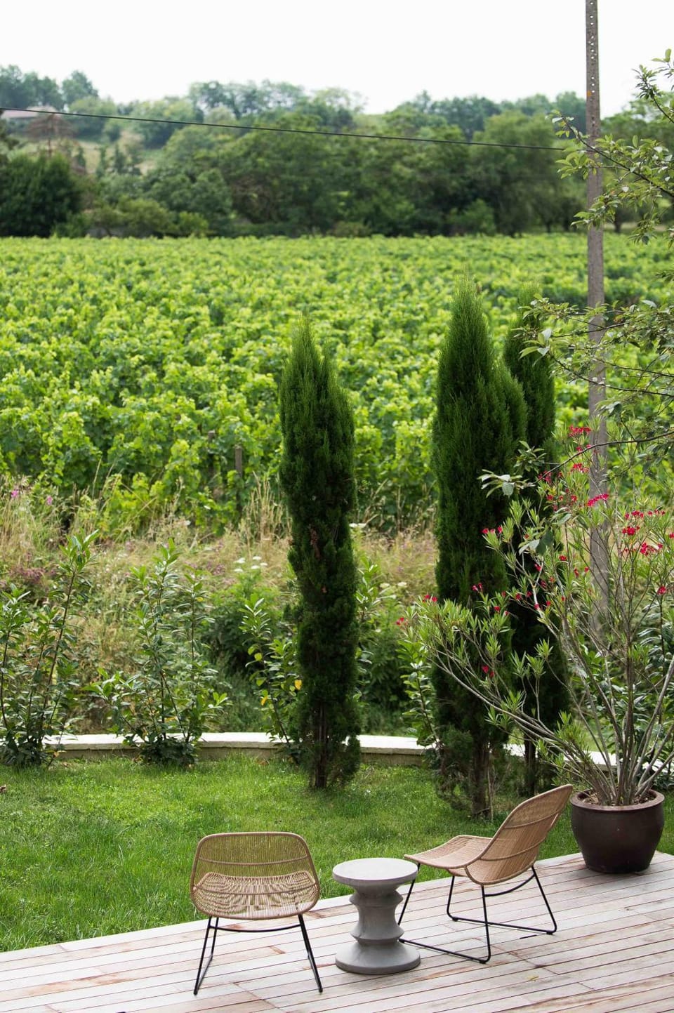 Natural landscape, Garden