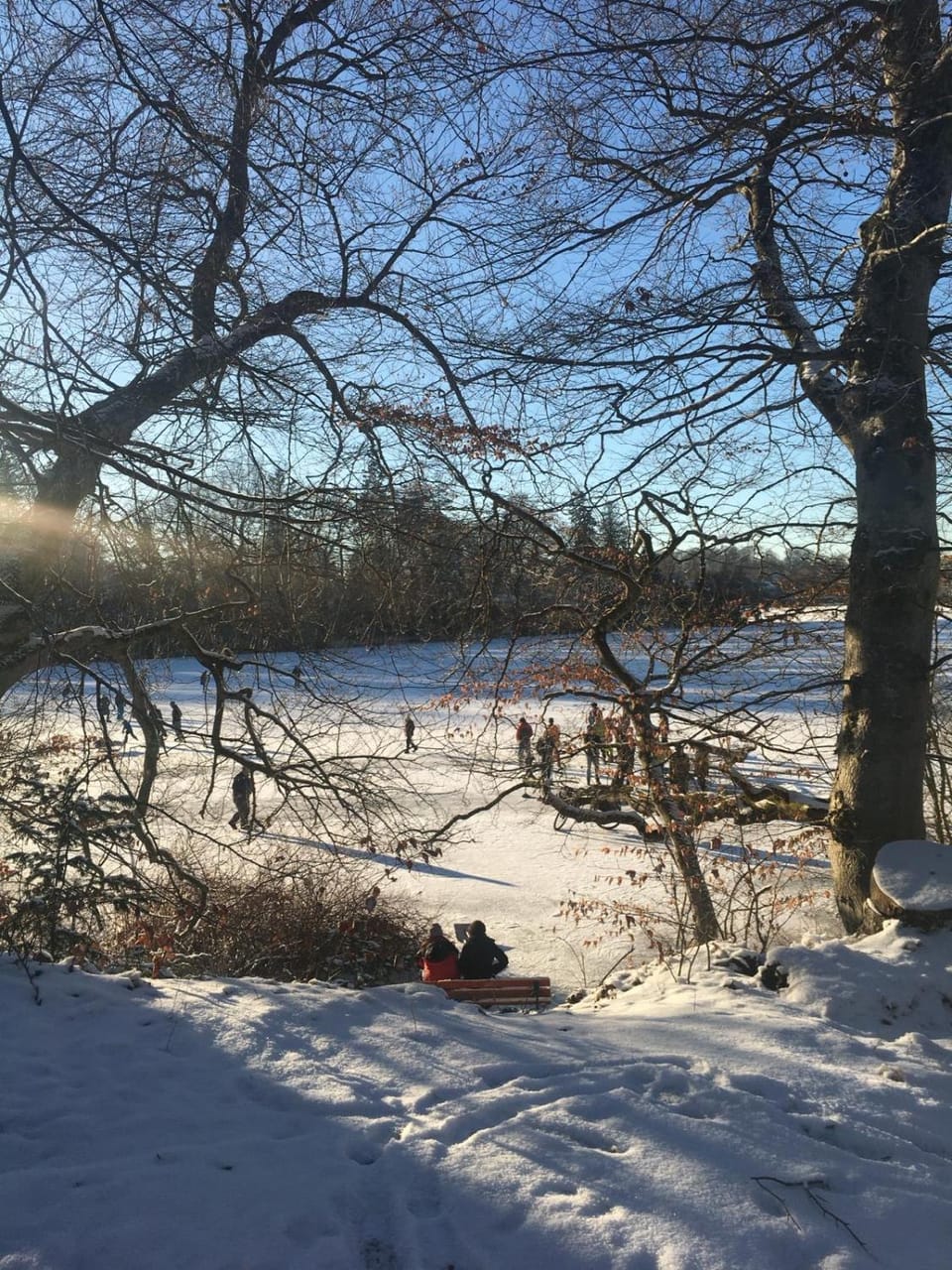 Natural landscape, Winter, Lake view