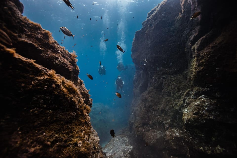 Snorkeling, Snorkeling, Diving, Diving