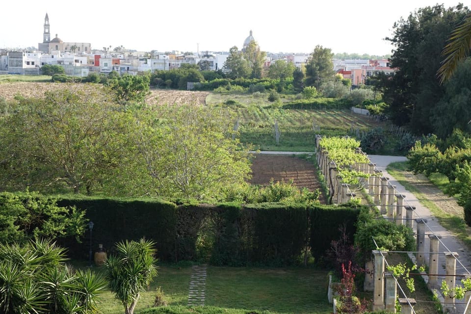 View (from property/room)