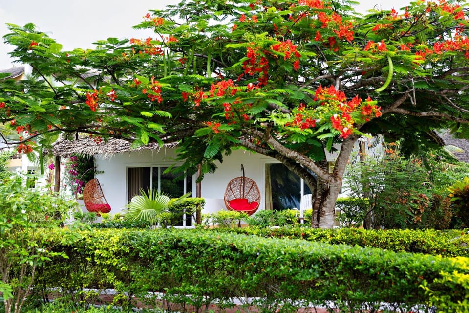 Garden view