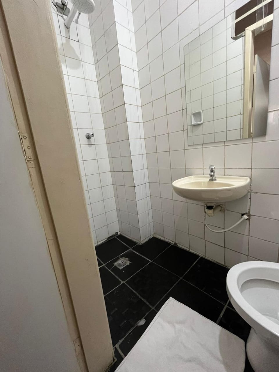 Shower, Toilet, Bathroom, towels