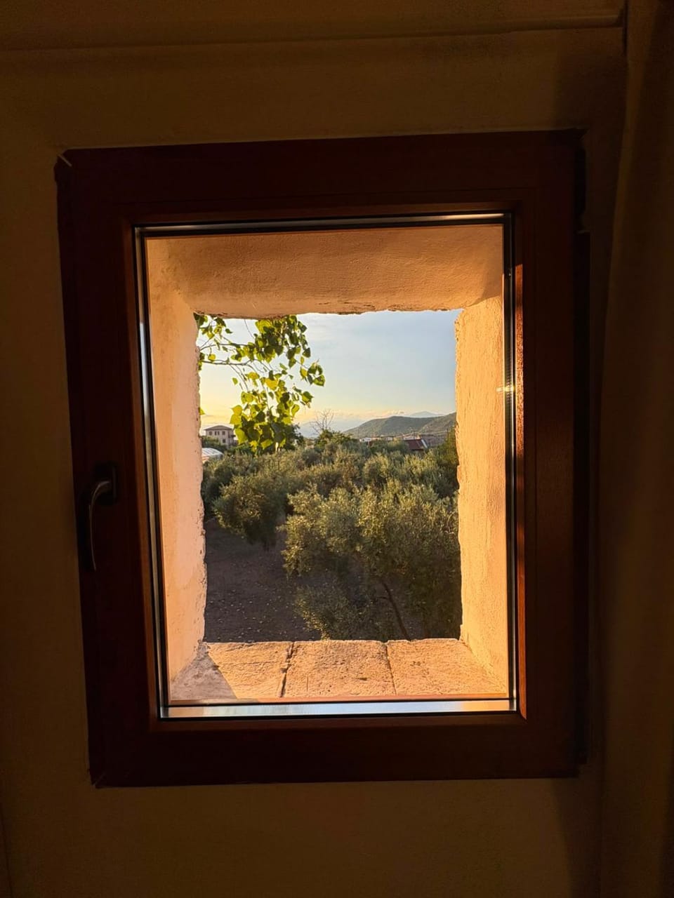 Agriturismo Masseria Pozzo Farm Stay in Lazio