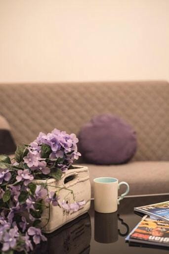 Comfortable Flat in Central Tbilisi Apartment in Tbilisi, Georgia