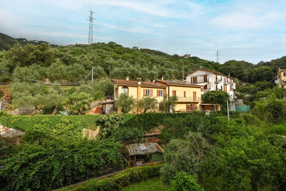 Property building, Natural landscape