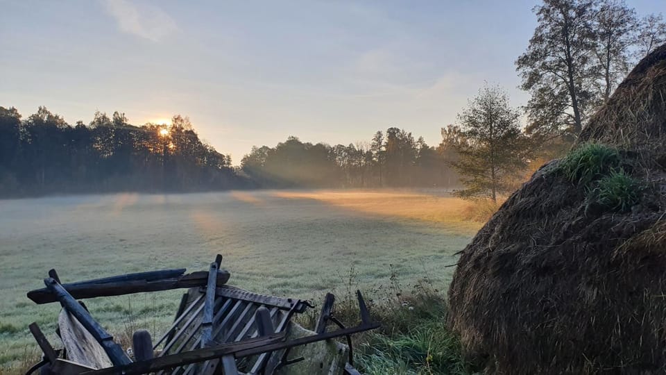 Natural landscape, View (from property/room)