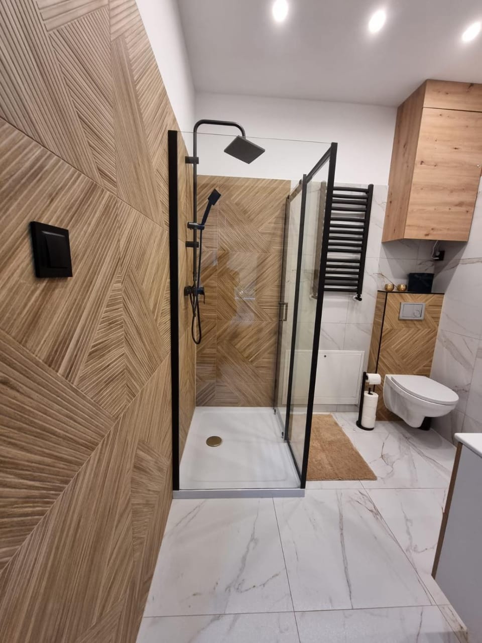 APARTAMENT JEDLINKA B Apartment in Lower Silesian Voivodeship