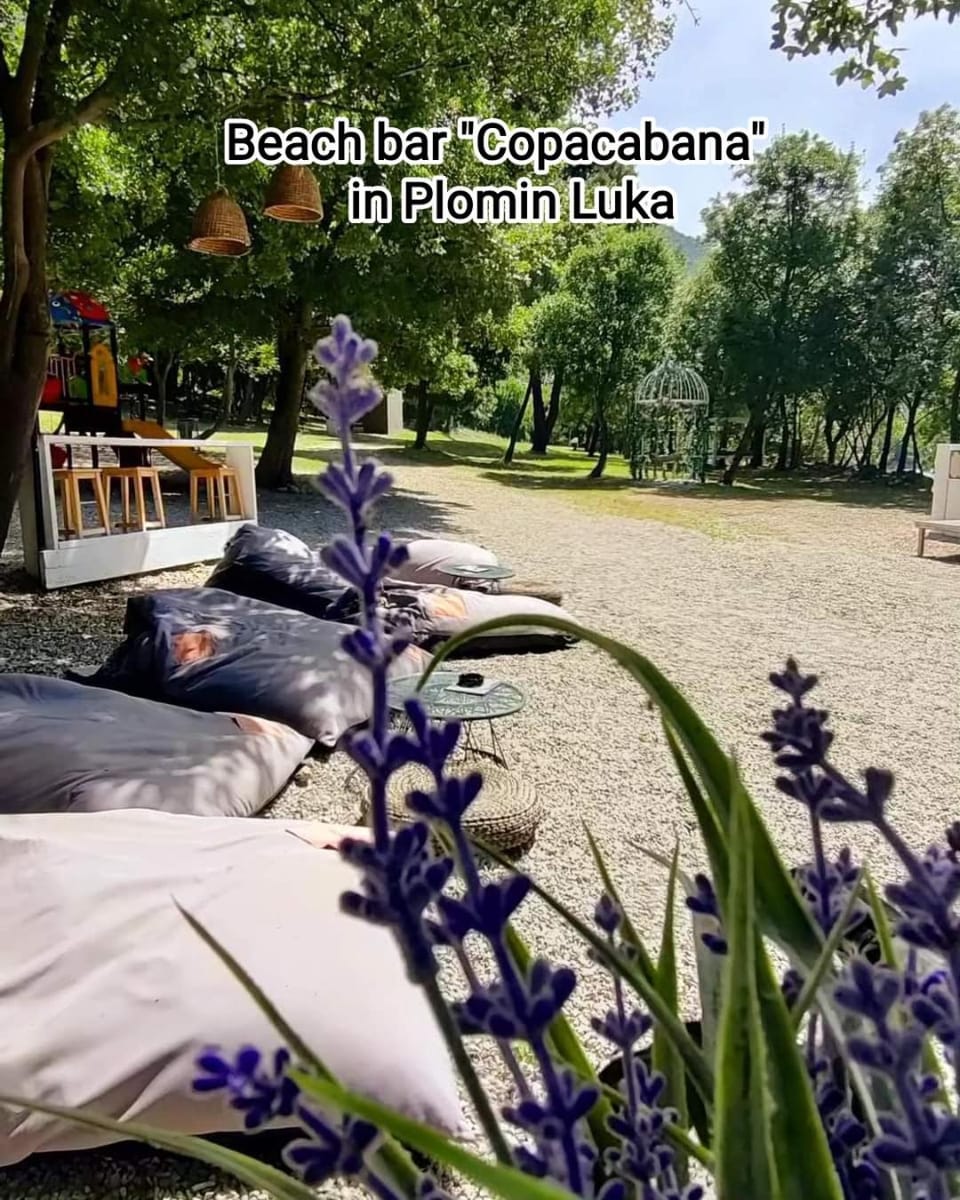 Apartment MARE Apartment in Istria County
