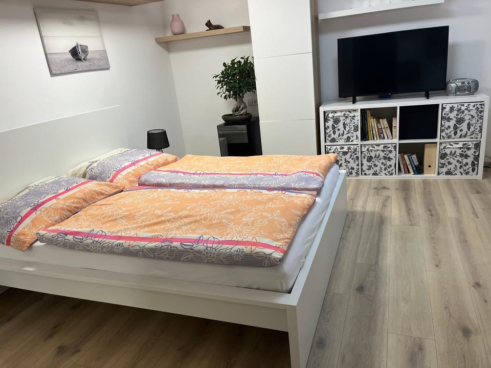 Bed, TV and multimedia
