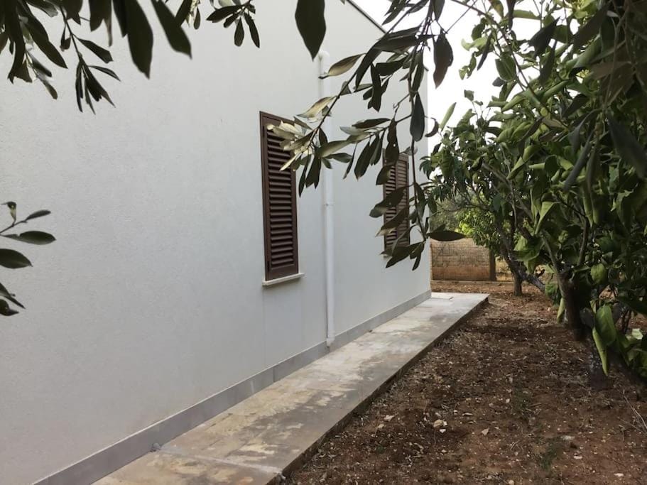 Casa Amuri House in Sicily