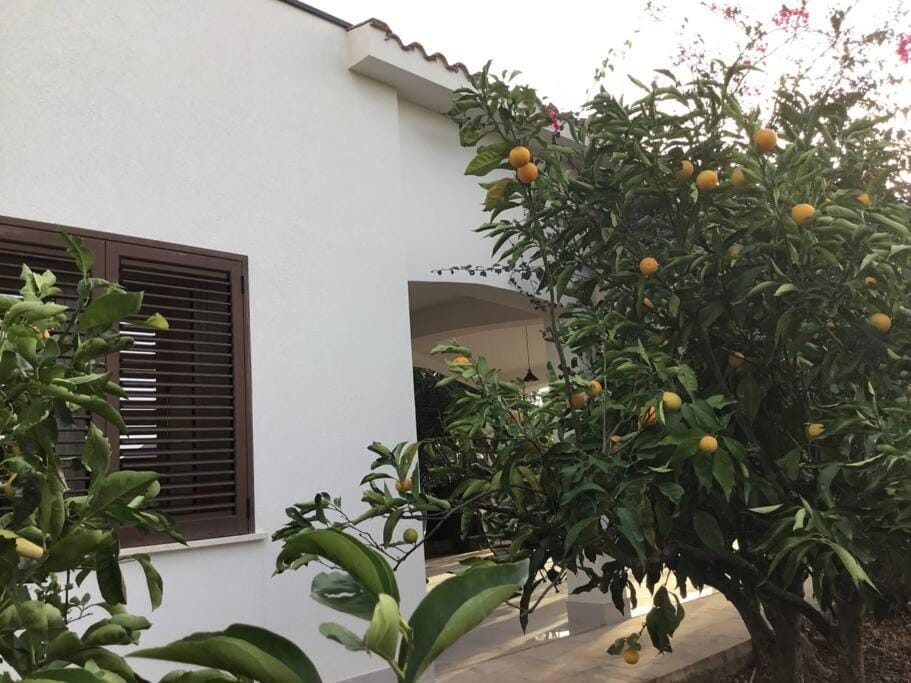 Casa Amuri House in Sicily