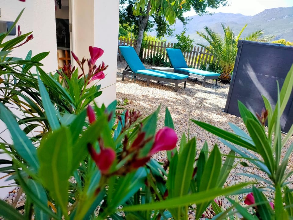 Maison Corse avec piscine et sauna - La Casa Lilia House in Corsica