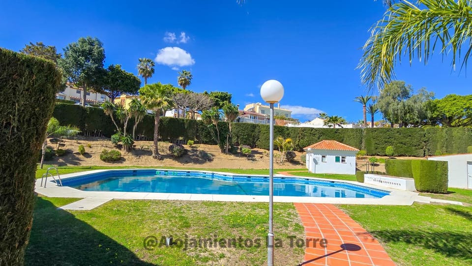 Spring, Day, Garden, Swimming pool