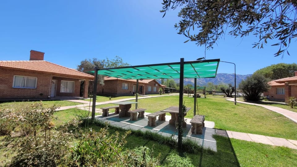 Natural landscape, Garden, Garden view
