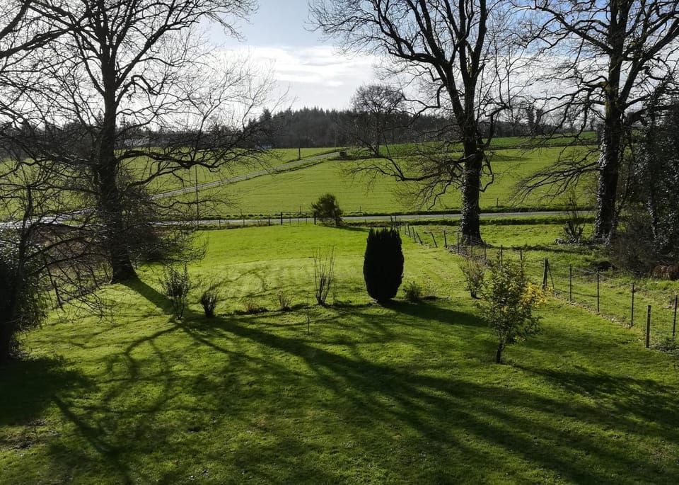 Natural landscape, Garden, Garden view