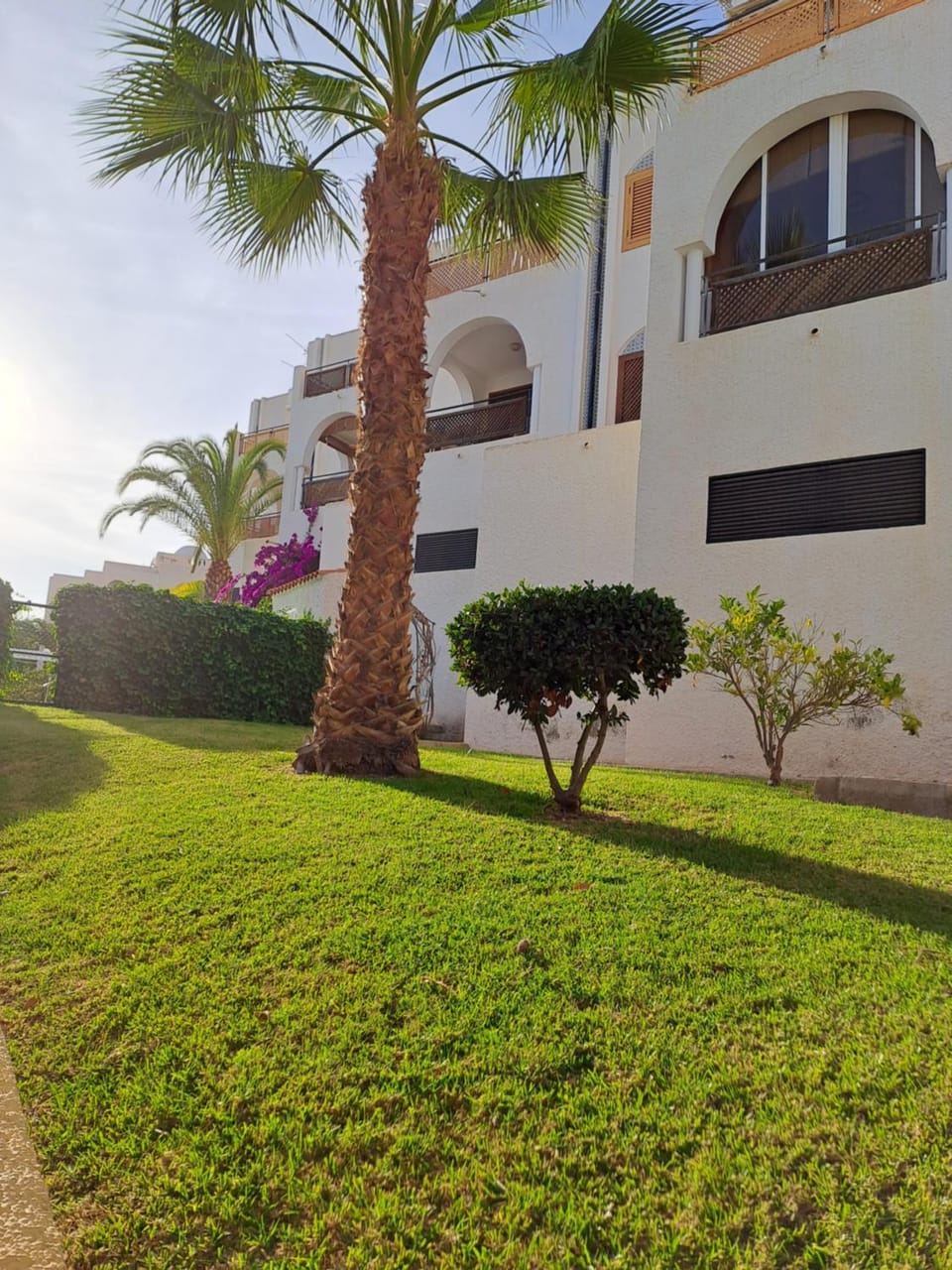 Garden view
