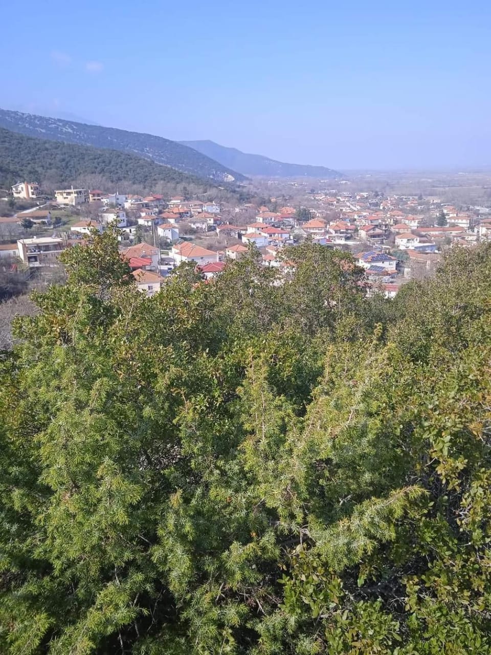 Bella Gaia Apartment in Decentralized Administration of Macedonia and Thrace