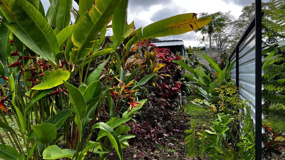 Garden view