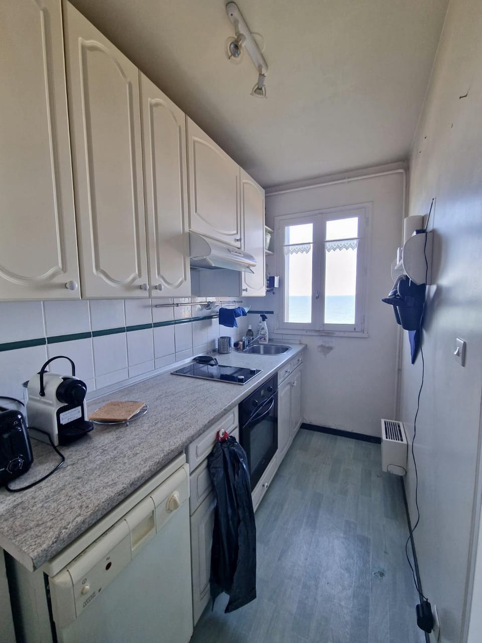 Coffee/tea facilities, Kitchen or kitchenette, dishwasher, minibar, pet friendly, stove, toaster