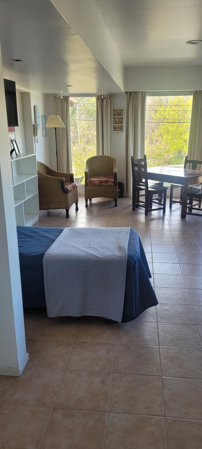 Bed, TV and multimedia, Living room, Dining area