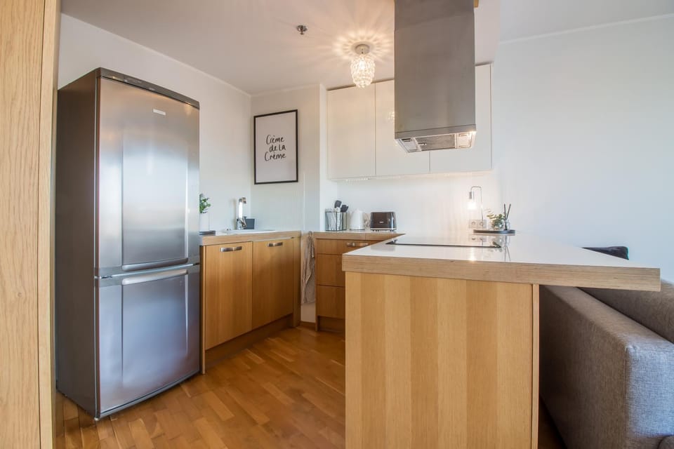 City Center Luxury Apartment Apartment in Estonia