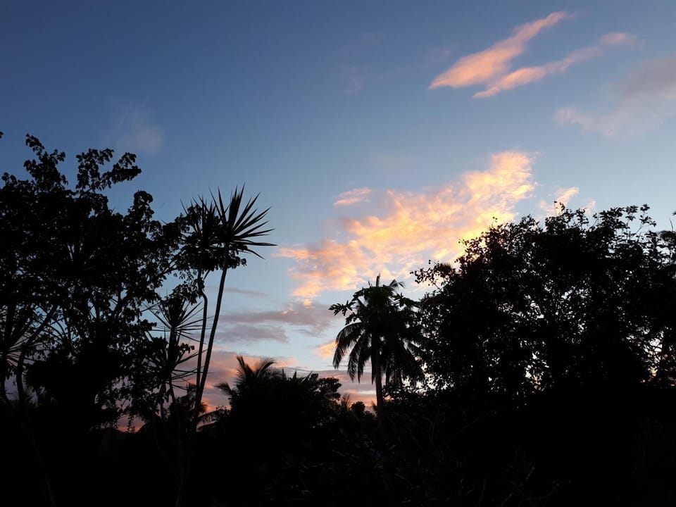 Natural landscape, On site, Sunset