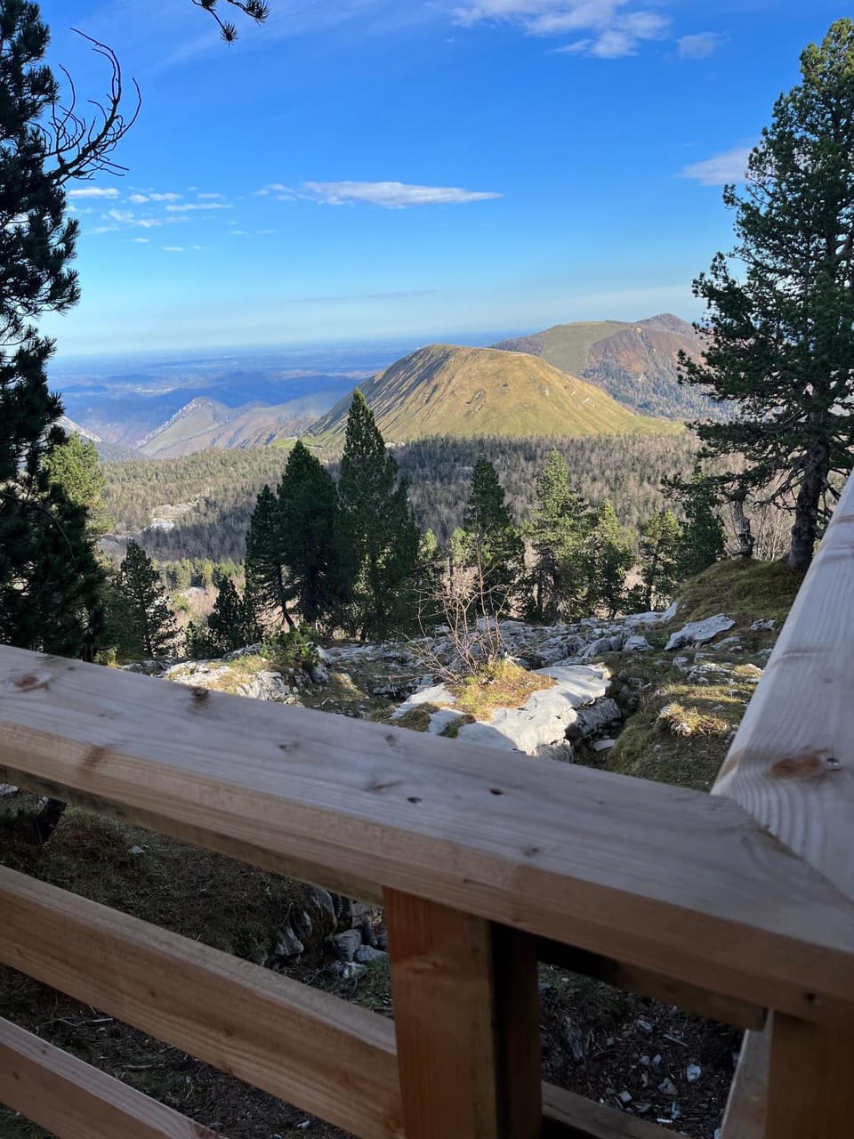 View (from property/room)