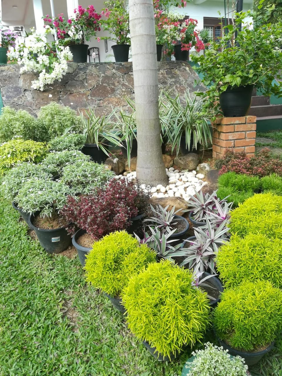 Samanala Garden Holiday Home Bed and Breakfast in Hikkaduwa