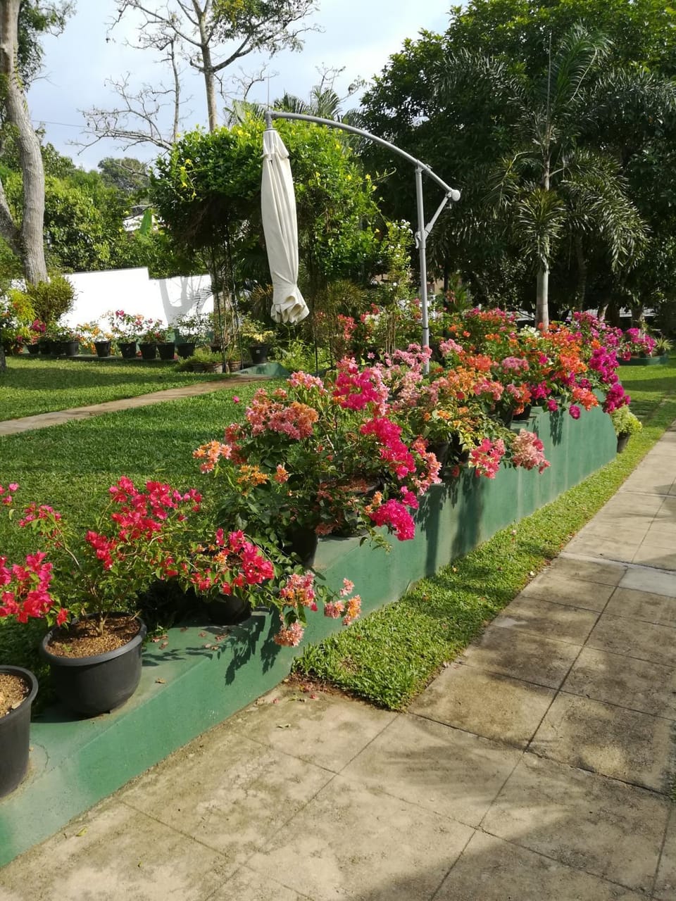 Samanala Garden Holiday Home Bed and Breakfast in Hikkaduwa