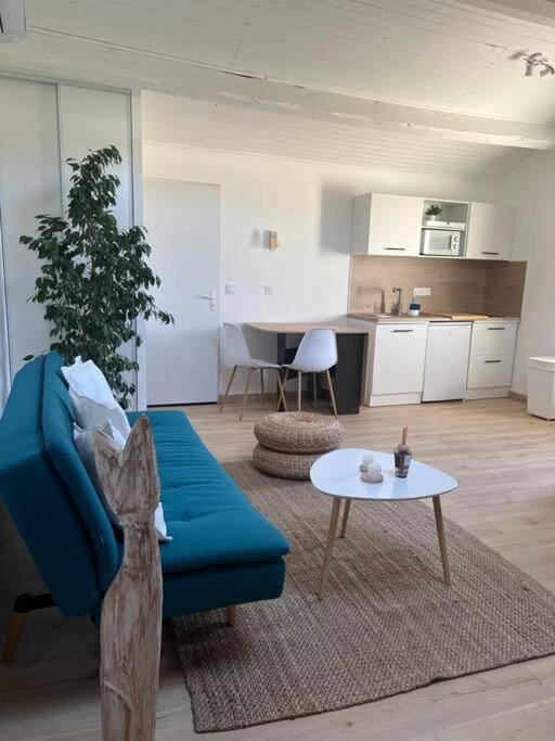 Spacieux studio 2 à 3 personnes au pied du Ventoux km Zéro Apartment in Bédoin