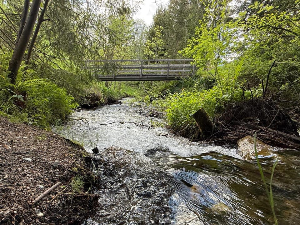 Natural landscape