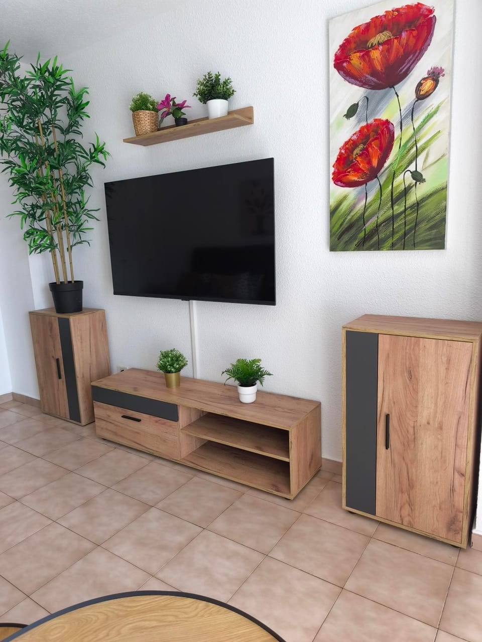 TV and multimedia