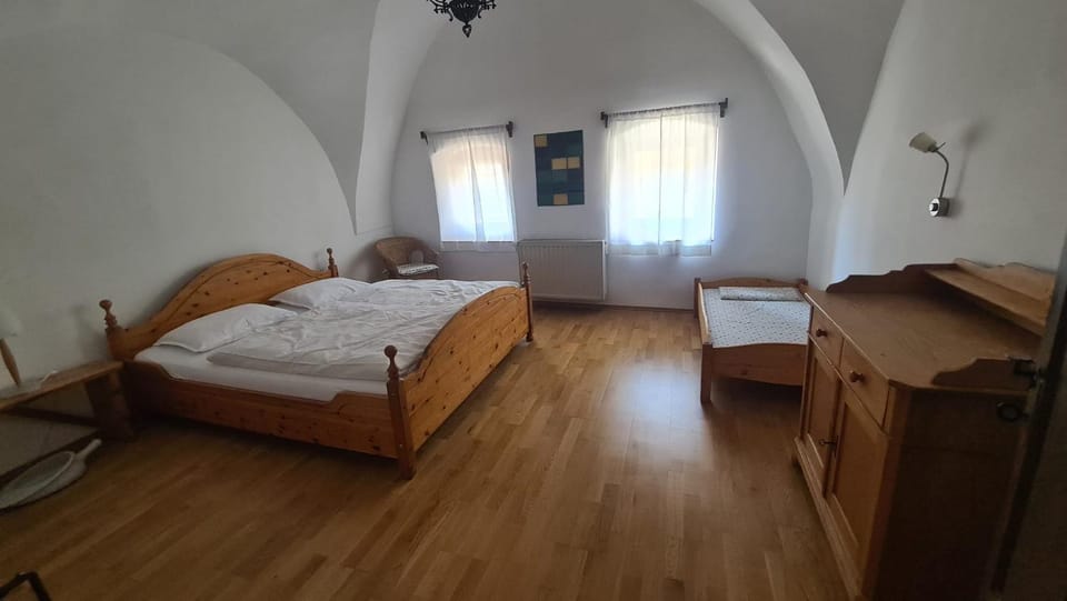 MaLu vintage house with garden House in Slovenia