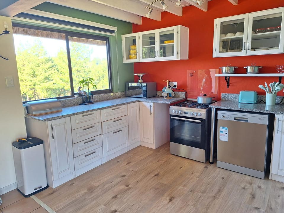 Kitchen or kitchenette, dishwasher, oven, stove