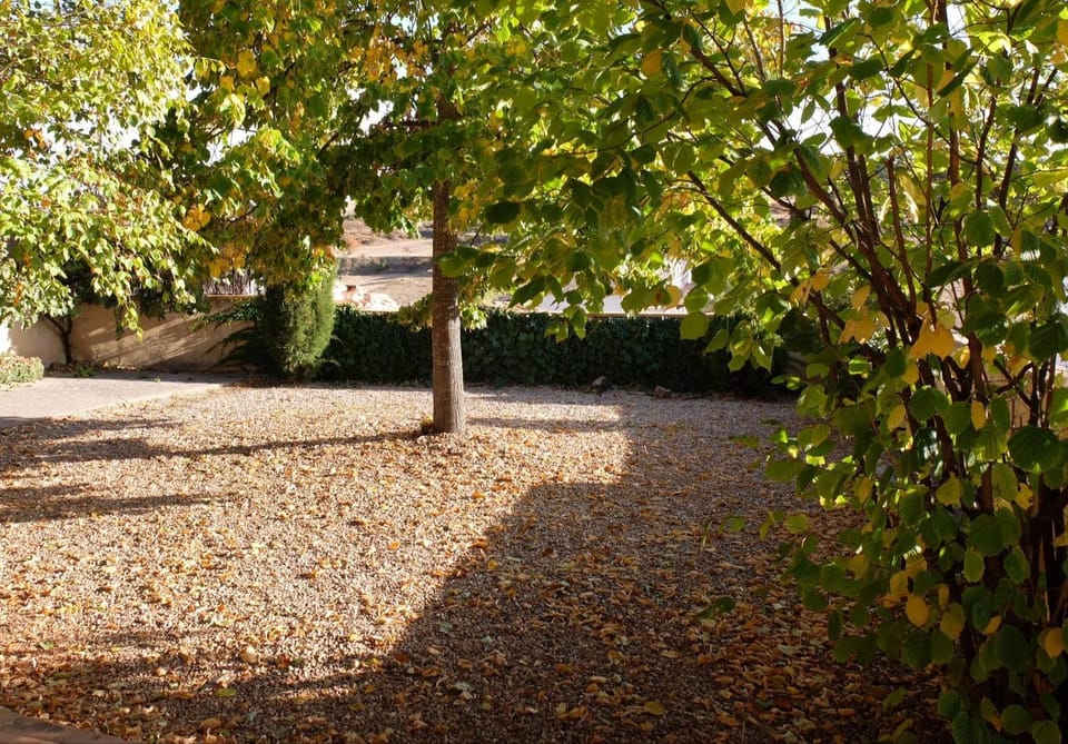 Casa el Tilo Apartment in Aragon